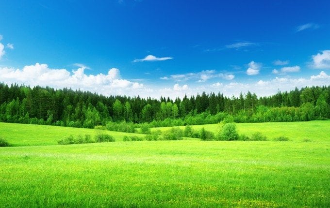 livada-680x430.jpg