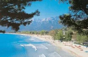 tasos