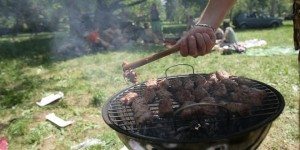 "Neotuđivo pravo svakog radnika u Srbiji je roštiljanje za Prvi maj"