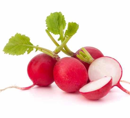 radish