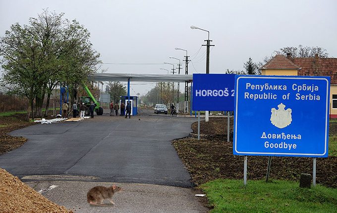 Poslednji srpski pacov poslednji put se osvrće pre odlaska iz zemlje